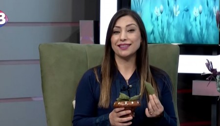 MELİSA İLE YAŞAMA DAİR 218. BÖLÜM