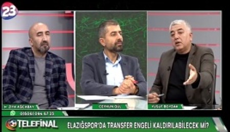 TELEFİNAL 29/01/2019